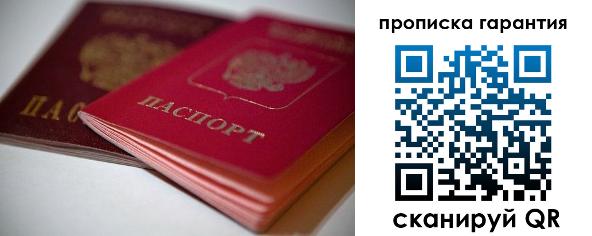 прописка в Дмитрове